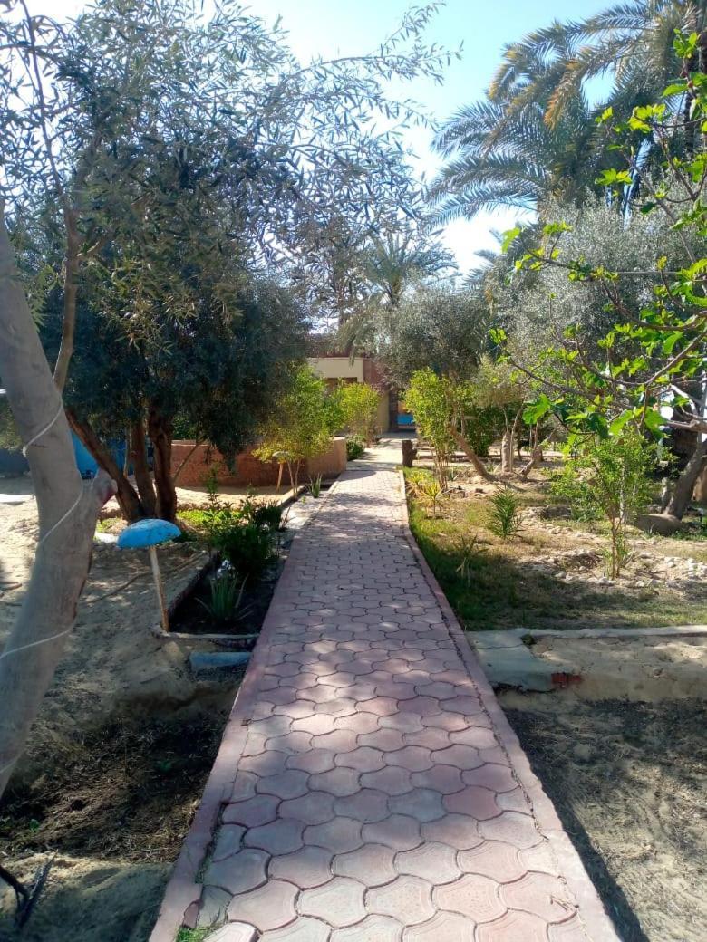 Panta Lodge Siwa بنتا لودج سيوة Siwa Oasis Εξωτερικό φωτογραφία