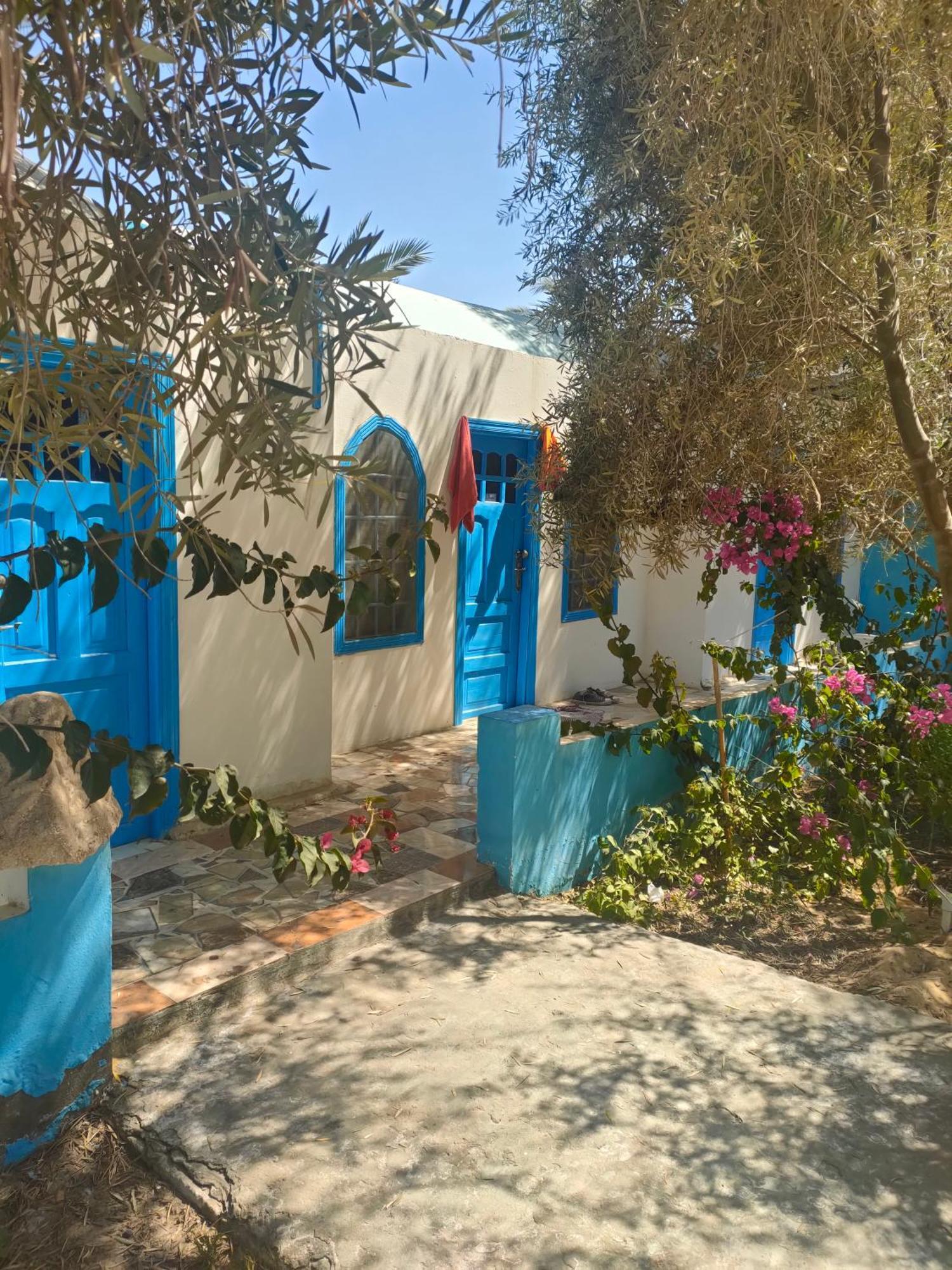 Panta Lodge Siwa بنتا لودج سيوة Siwa Oasis Εξωτερικό φωτογραφία